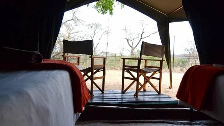 4 Day Kruger Classic Camping Safari Tour